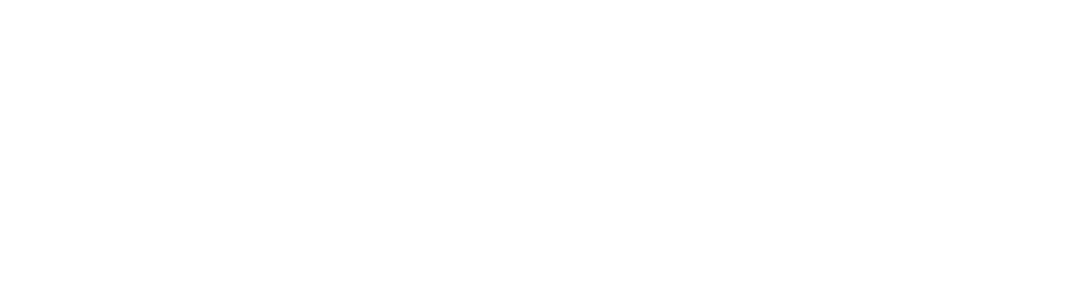 Logo Colegio de Kinesiólogos